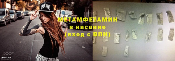 ГАЛЛЮЦИНОГЕННЫЕ ГРИБЫ Козловка