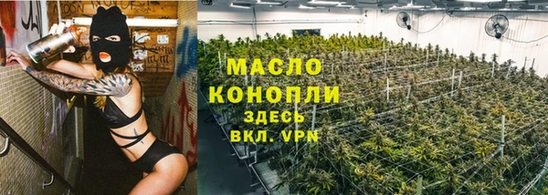ГАЛЛЮЦИНОГЕННЫЕ ГРИБЫ Козловка