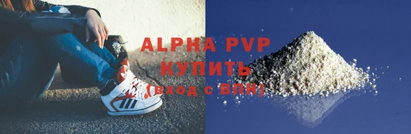 ГАЛЛЮЦИНОГЕННЫЕ ГРИБЫ Козловка