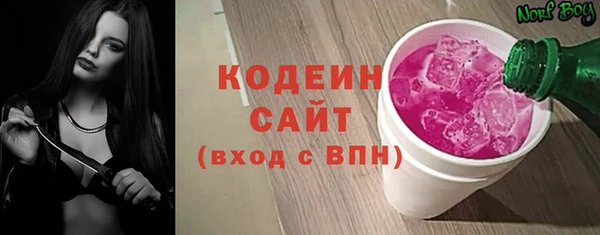 дмт Кодинск