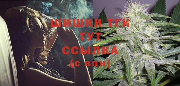 ГАЛЛЮЦИНОГЕННЫЕ ГРИБЫ Козловка