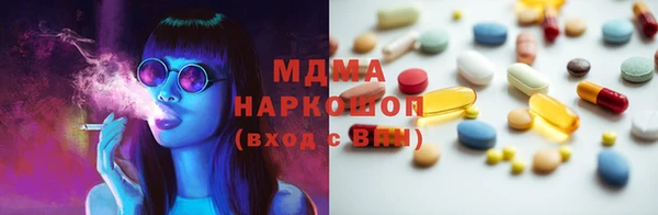ГАЛЛЮЦИНОГЕННЫЕ ГРИБЫ Козловка