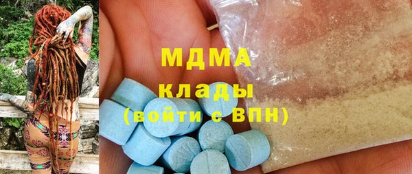 ГАЛЛЮЦИНОГЕННЫЕ ГРИБЫ Козловка