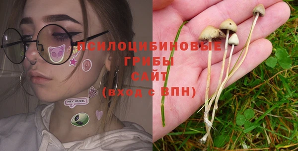 дмт Кодинск