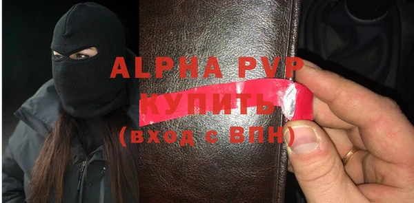 ГАЛЛЮЦИНОГЕННЫЕ ГРИБЫ Козловка