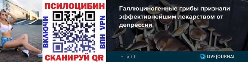 хочу   Янаул  KRAKEN как войти  Галлюциногенные грибы ЛСД 