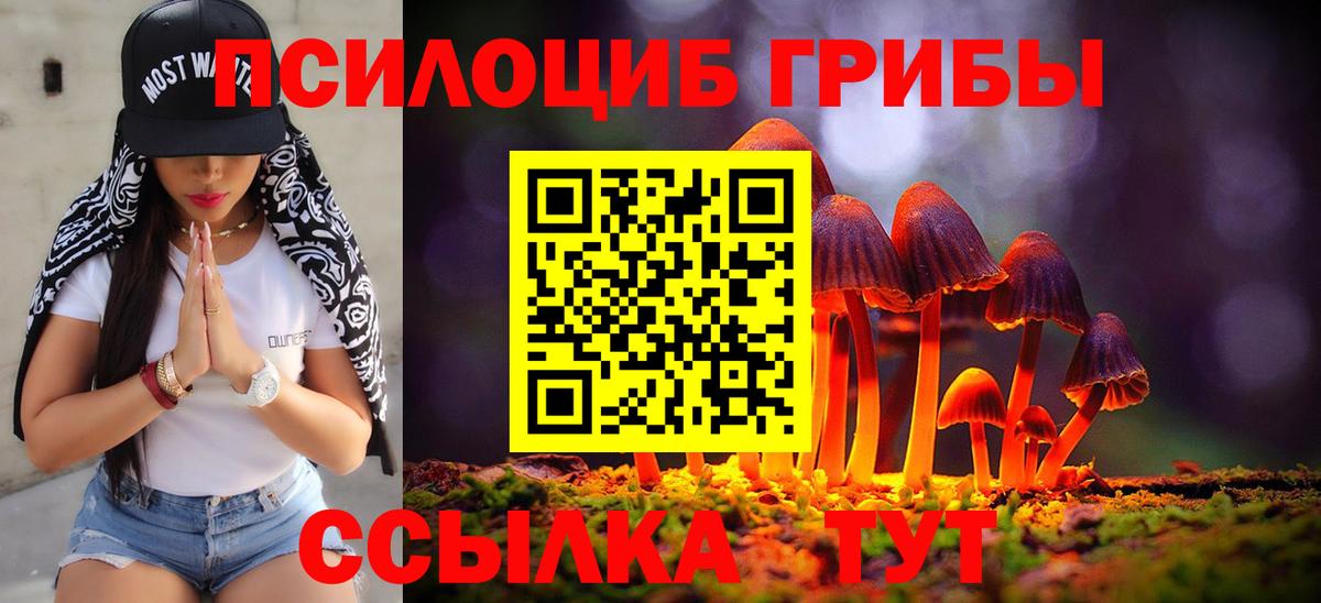 Псилоцибиновые грибы GOLDEN TEACHER  Галлюциногенные грибы GOLDEN TEACHER  Янаул  где купить наркоту  Вход с VPN 